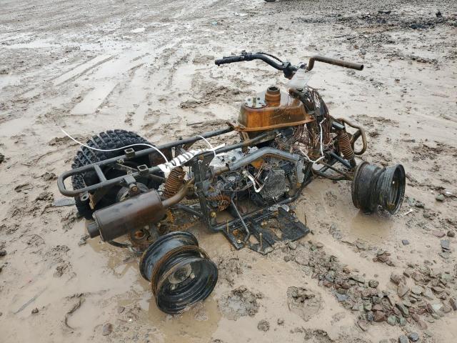 2024 CAN-AM ATV - RF39GA824RT003105