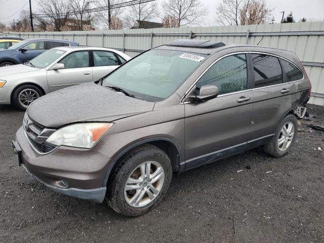 2010 Honda Cr-V Exl VIN: 5J6RE4H72AL031861 Lot: 50682854