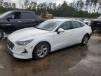 Lot #2986629240 2020 HYUNDAI SONATA SE