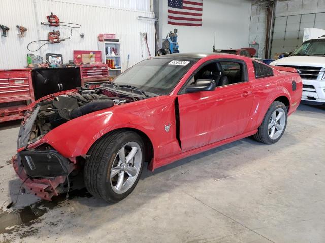 2009 Ford Mustang Gt VIN: 1ZVHT82H495103219 Lot: 49593324