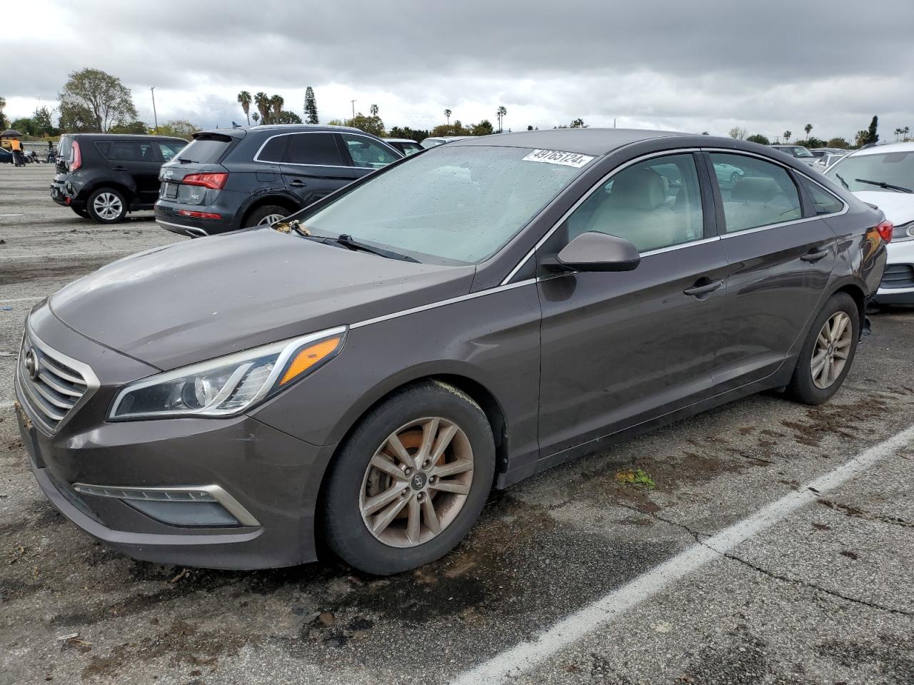 Lot #2489542268 2015 HYUNDAI SONATA SE