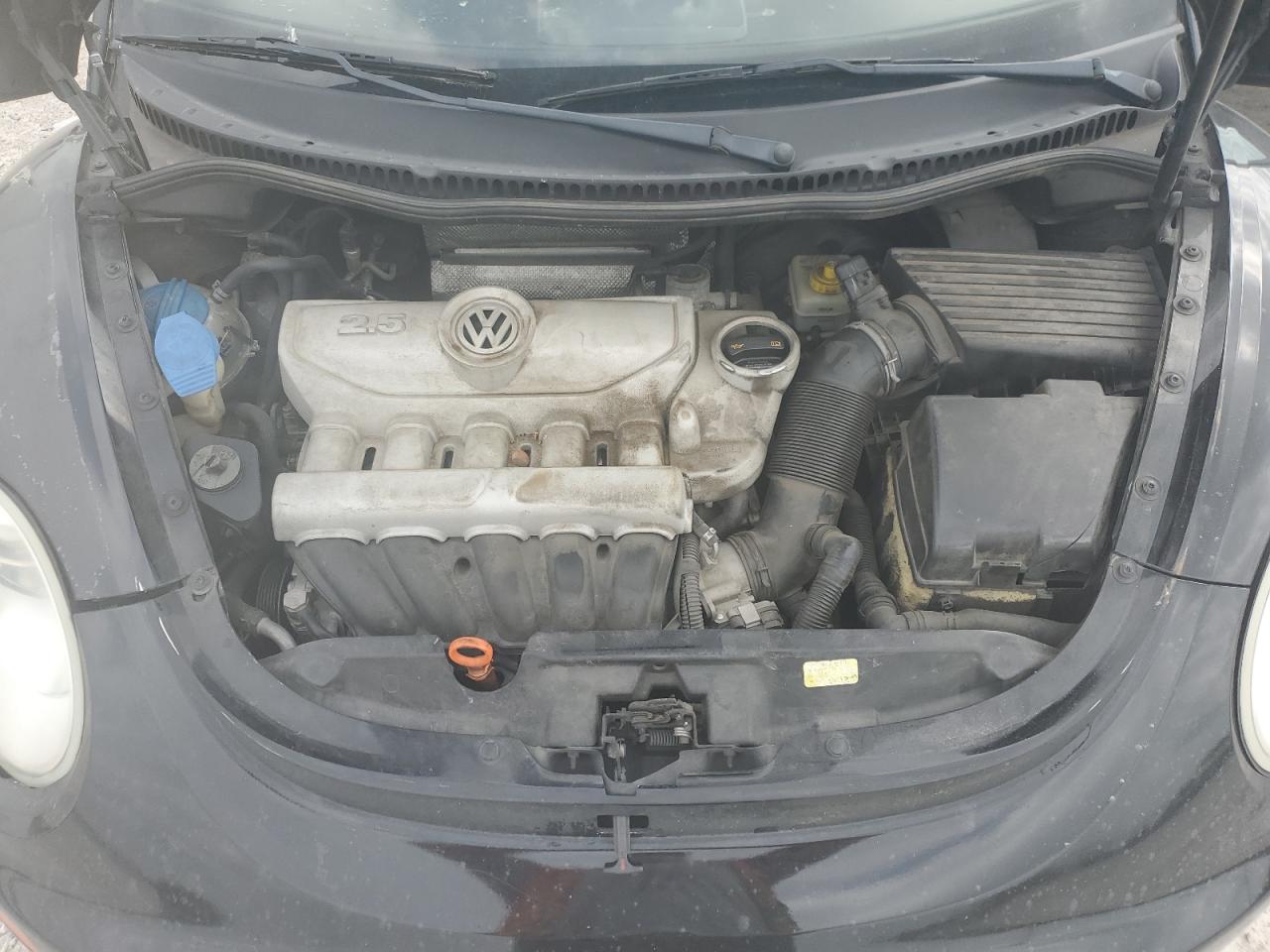 3VWPW31C49M506820 2009 Volkswagen New Beetle S