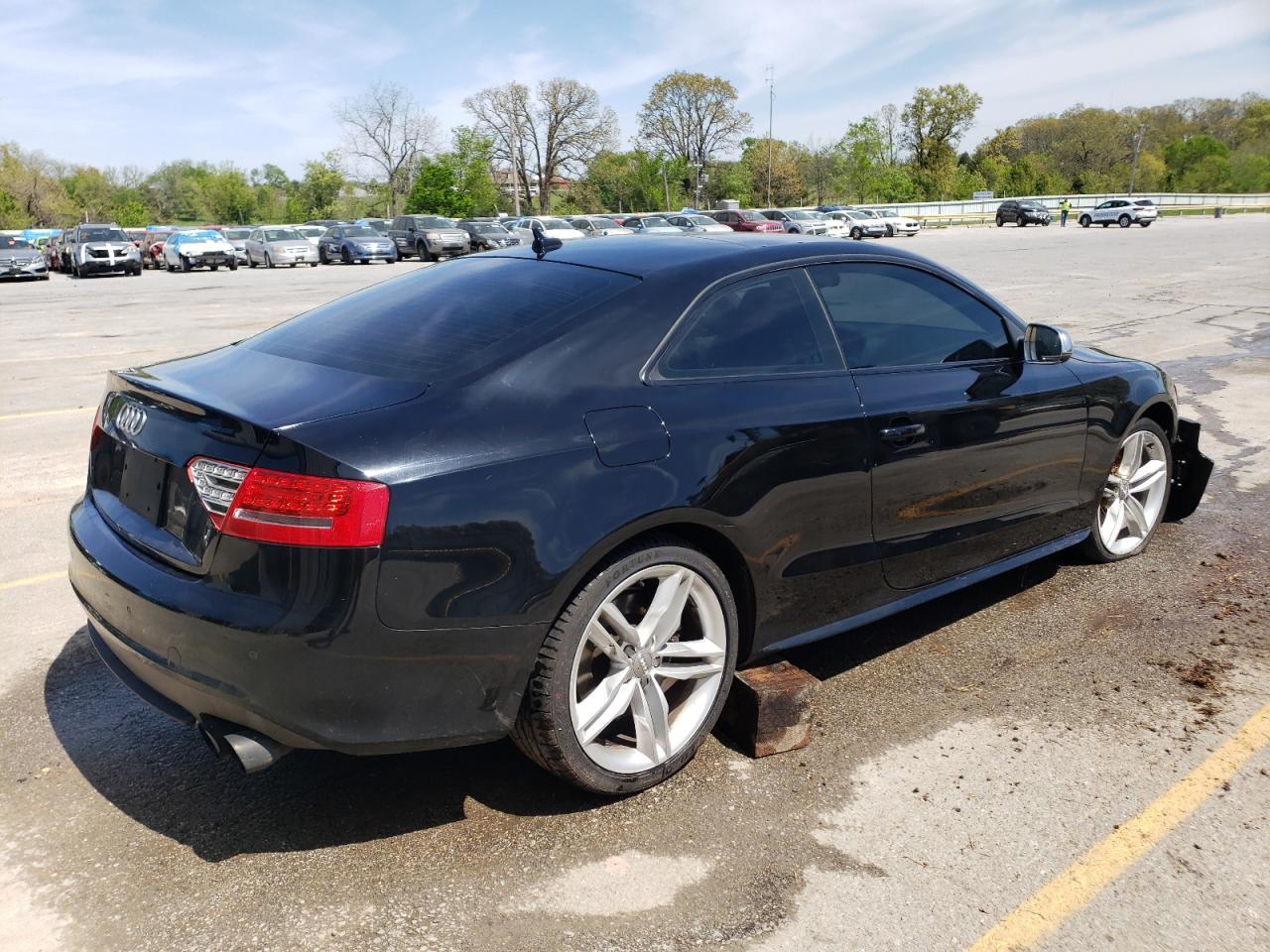 Lot #2621846727 2010 AUDI S5 PRESTIG