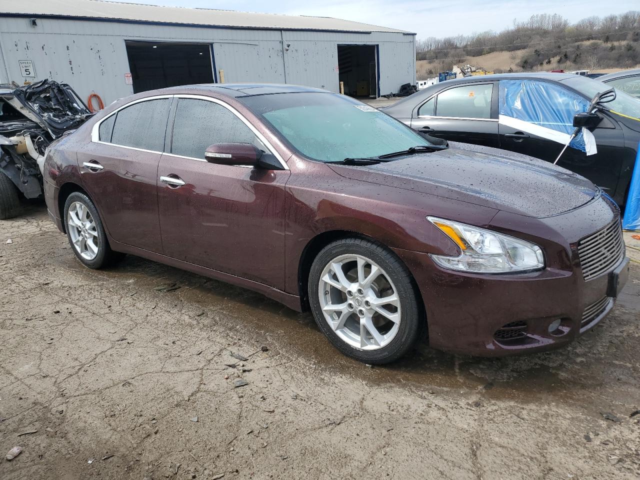 Lot #2492108677 2014 NISSAN MAXIMA S