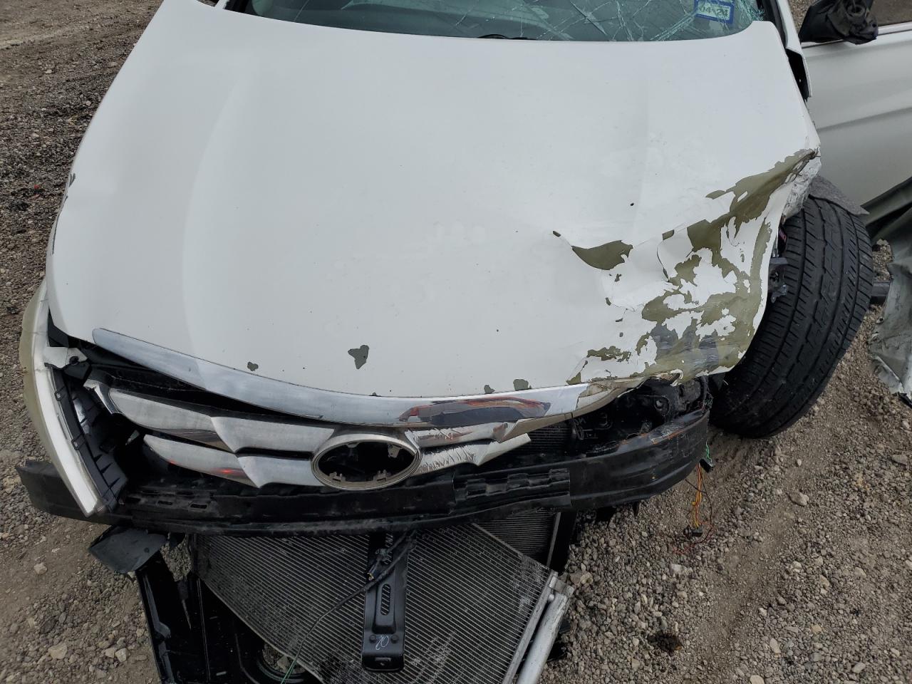 5NPEC4AC1DH701037 2013 Hyundai Sonata Se