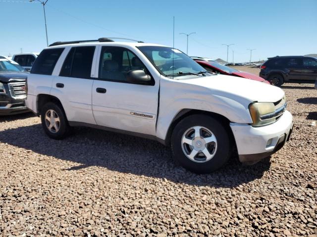 2003 Chevrolet Trailblazer VIN: 1GNDT13S032320284 Lot: 49465204