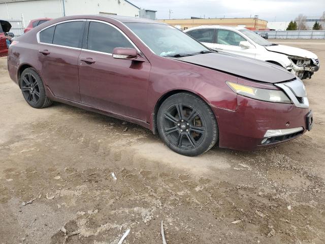 2009 Acura Tl VIN: 19UUA86209A800778 Lot: 52088954