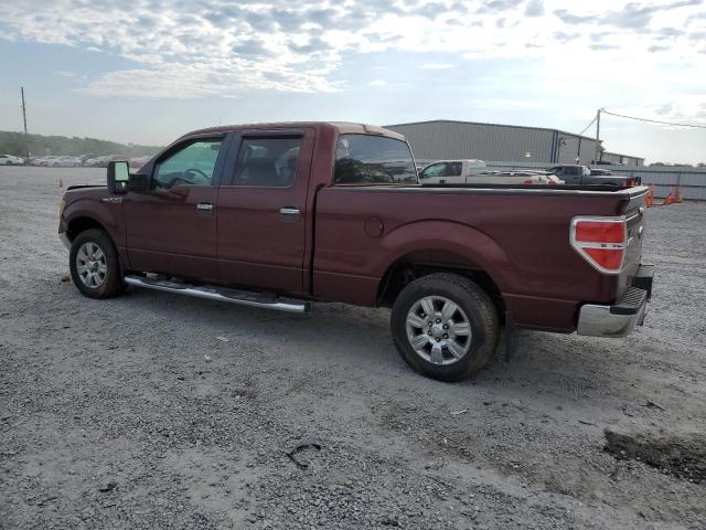 2010 Ford F150 Supercrew VIN: 1FTFW1CV1AFA73768 Lot: 49749544