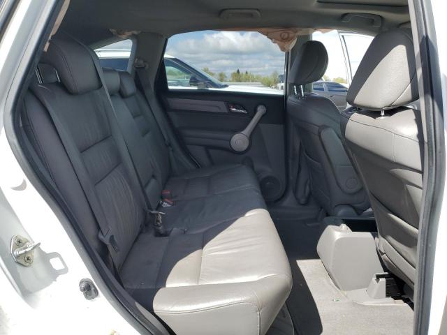 2007 Honda Cr-V Exl VIN: JHLRE38777C043614 Lot: 50824184