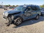 2007 Honda Pilot Exl VIN: 5FNYF187X7B012709 Lot: 50830394