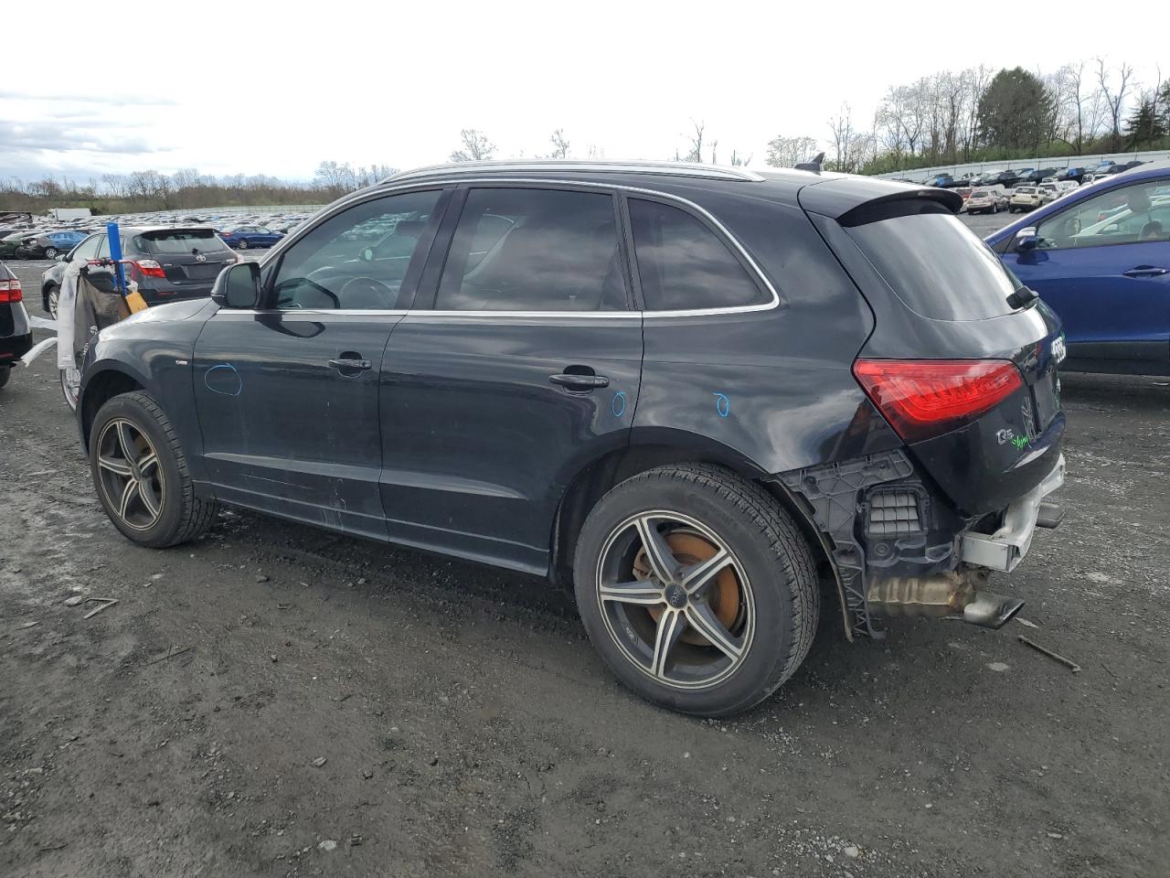 WA1DGAFP1DA038242 2013 Audi Q5 Premium Plus