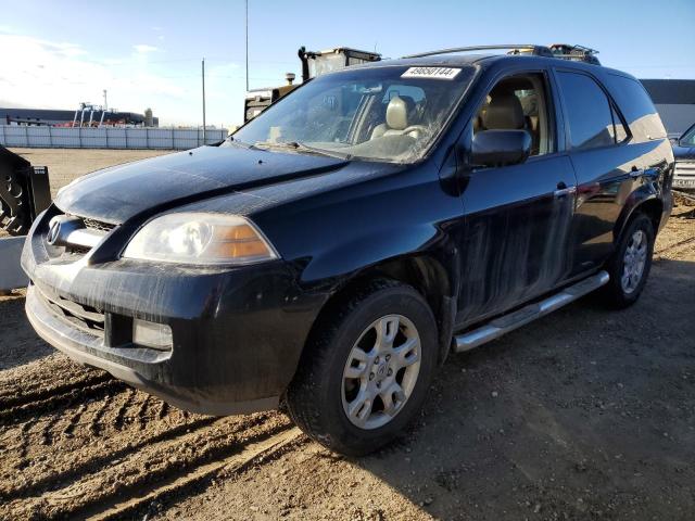 2005 Acura Mdx Touring VIN: 2HNYD18665H000135 Lot: 49850144