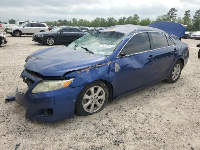 Lot #2510403319 2010 TOYOTA CAMRY BASE salvage car