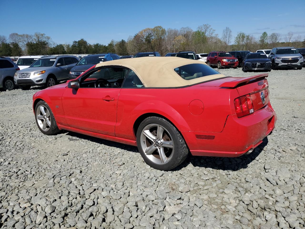 1ZVFT85H565130668 2006 Ford Mustang Gt