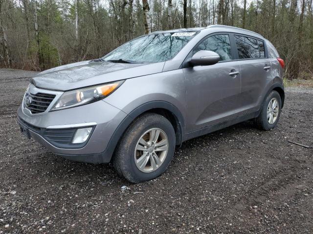 2013 Kia Sportage Base VIN: KNDPB3A26D7469407 Lot: 52928784