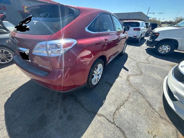 Lot #2461413505 2010 LEXUS RX 450 salvage car