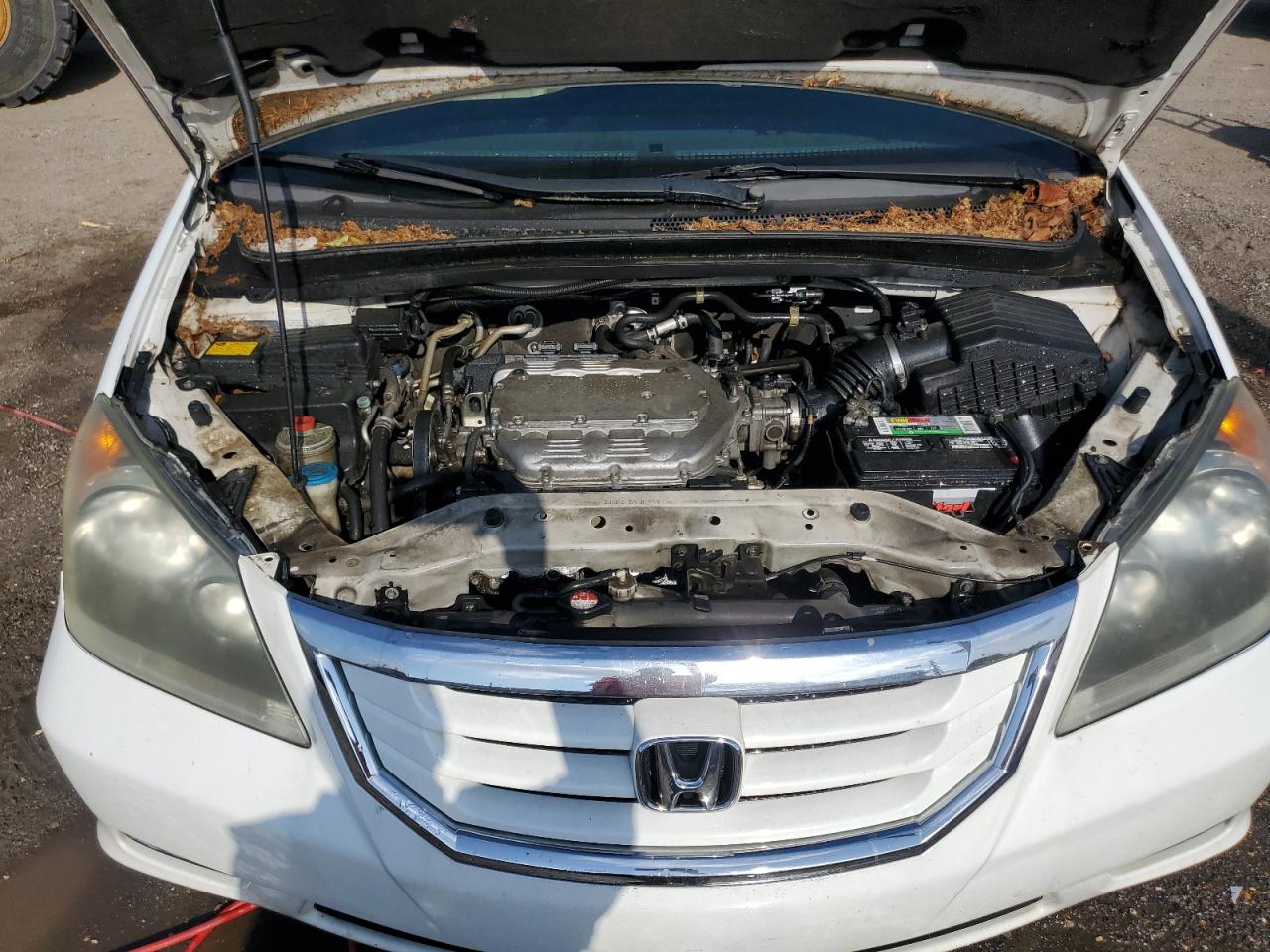 5FNRL387X9B407453 2009 Honda Odyssey Exl