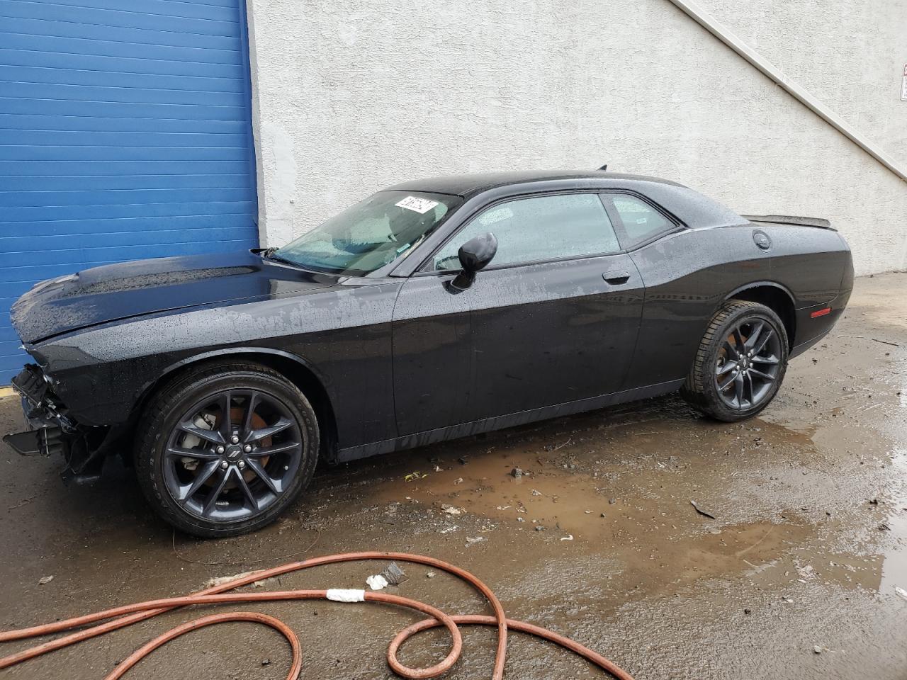 Lot #2497136614 2022 DODGE CHALLENGER