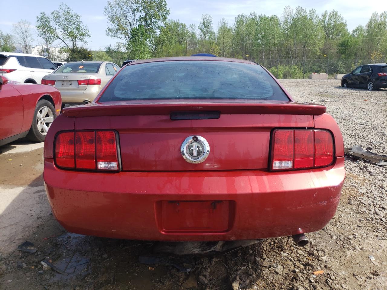 1ZVFT80N375334013 2007 Ford Mustang