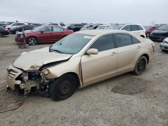 Lot #2464776456 2010 TOYOTA CAMRY BASE salvage car