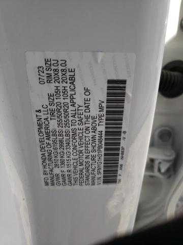 2023 HONDA PILOT SPOR 5FNYG1H31PB048444