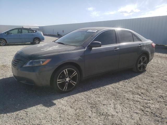 Lot #2491615102 2009 TOYOTA CAMRY BASE salvage car