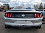 FORD MUSTANG photo