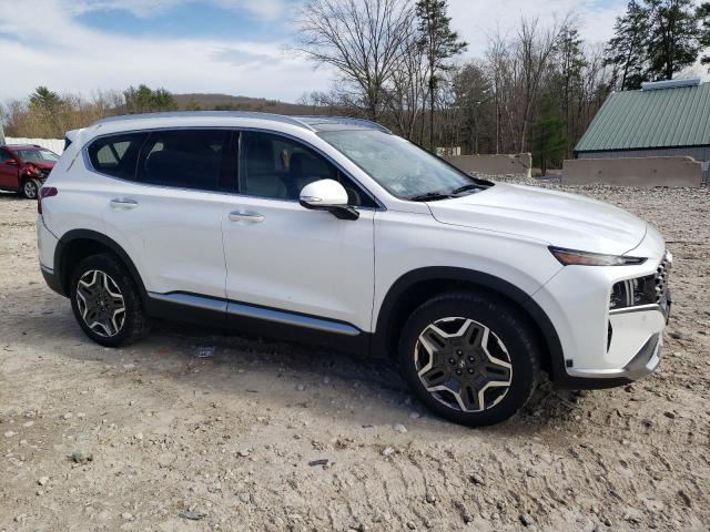 2022 Hyundai Santa Fe Limited VIN: 5NMS4DAL8NH448717 Lot: 49340814