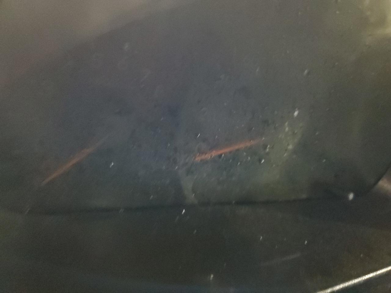 5FNRL38466B098971 2006 Honda Odyssey Ex