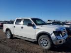 FORD F150 SUPER снимка