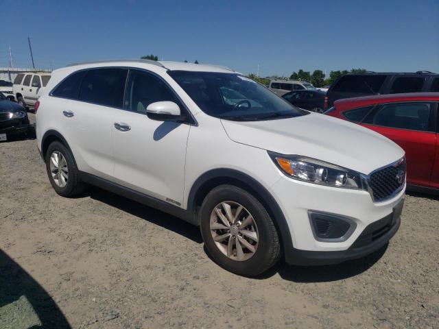 2017 Kia Sorento Lx VIN: 5XYPGDA51HG204596 Lot: 51445994