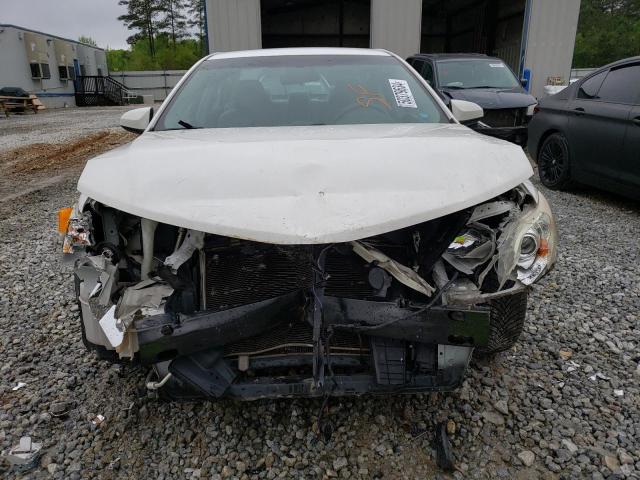 2009 Dodge Avenger Sxt VIN: 1B3LC56B89N552762 Lot: 50379634