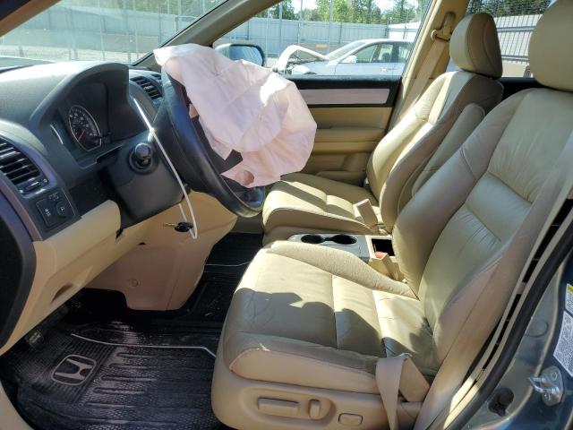 2010 Honda Cr-V Exl VIN: 5J6RE3H78AL037061 Lot: 52752934