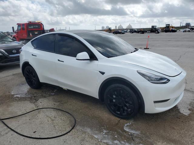 2023 Tesla Model Y VIN: 7SAYGDEE2PA145238 Lot: 50730414