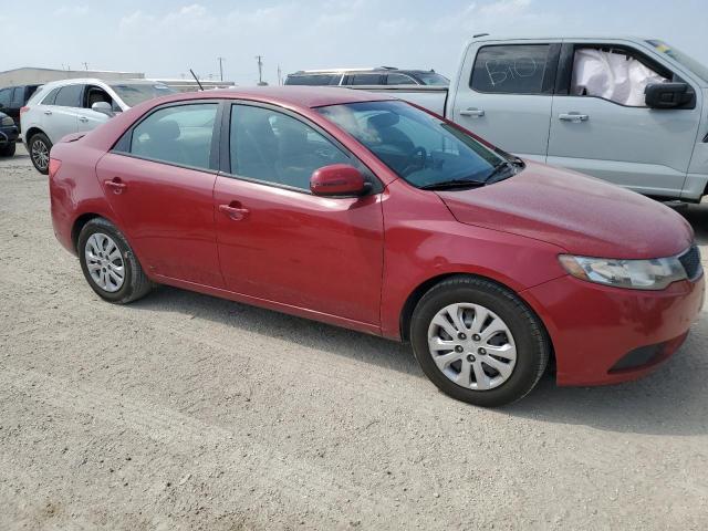 2013 Kia Forte Ex VIN: KNAFU4A20D5719521 Lot: 50291194