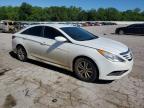 Lot #2912187987 2014 HYUNDAI SONATA GLS