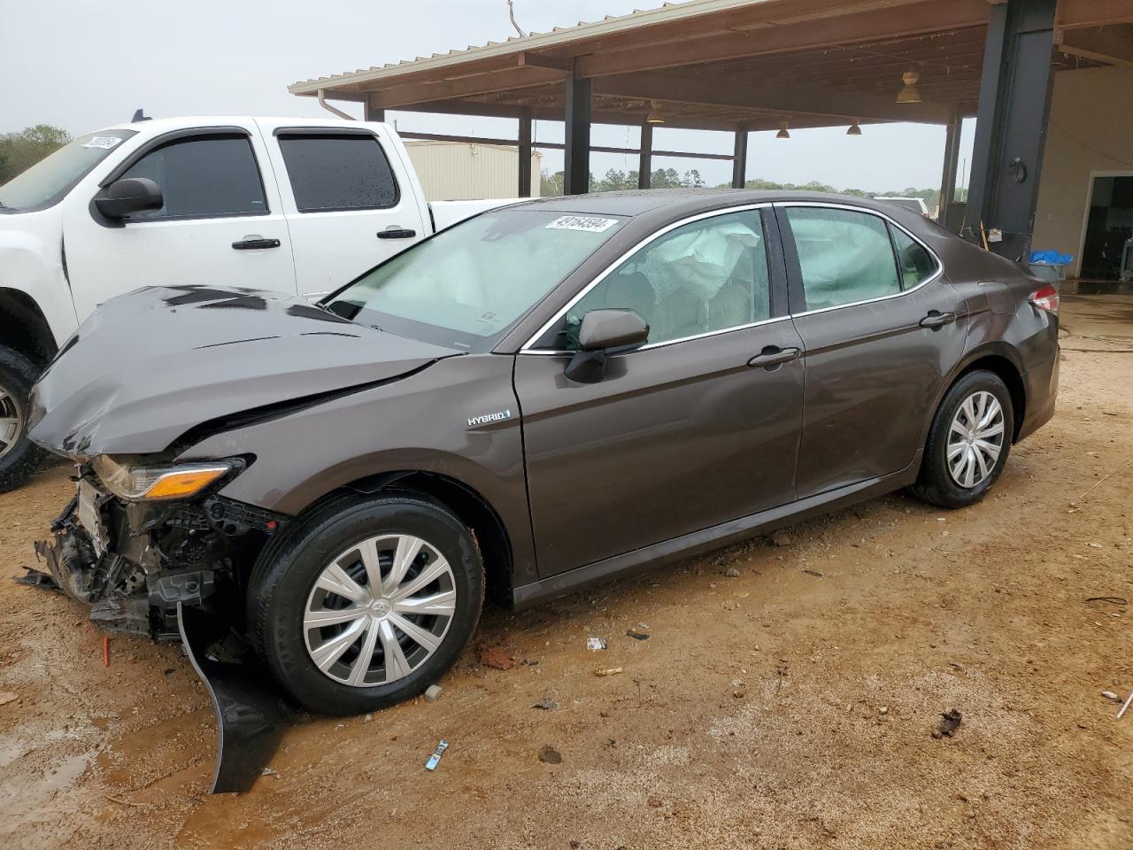 2019 Toyota Camry Le vin: 4T1B31HK6KU516365