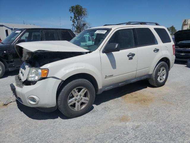 Lot #2517381924 2012 FORD ESCAPE HYB salvage car