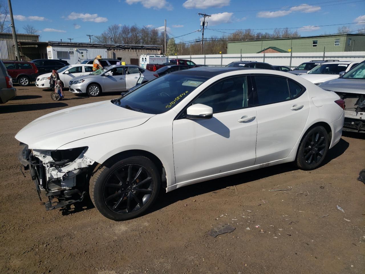 19UUB3F52FA004880 2015 Acura Tlx Tech