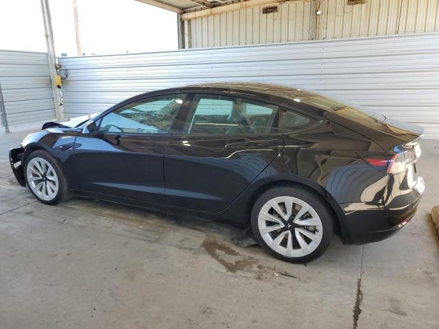 2023 Tesla Model 3 VIN: 5YJ3E1EAXPF439059 Lot: 50672264