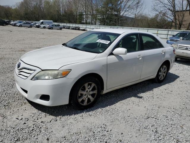 Lot #2516854612 2010 TOYOTA CAMRY BASE salvage car