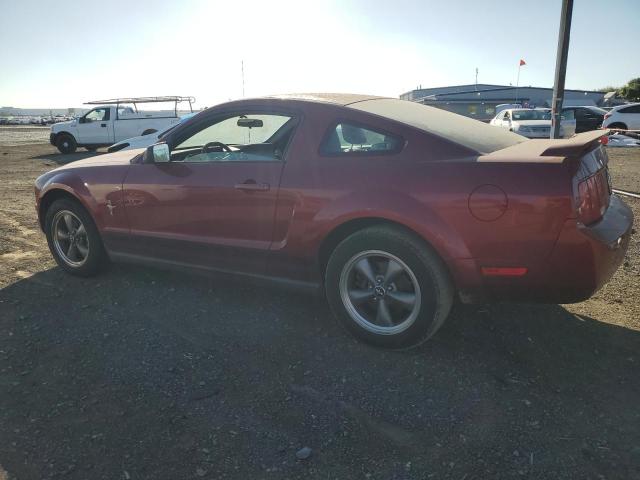 2006 Ford Mustang VIN: 1ZVFT80NX65237793 Lot: 49122324