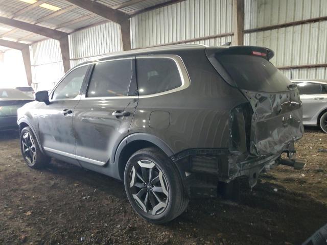 2023 Kia Telluride Ex VIN: 5XYP3DGC1PG359911 Lot: 52516564