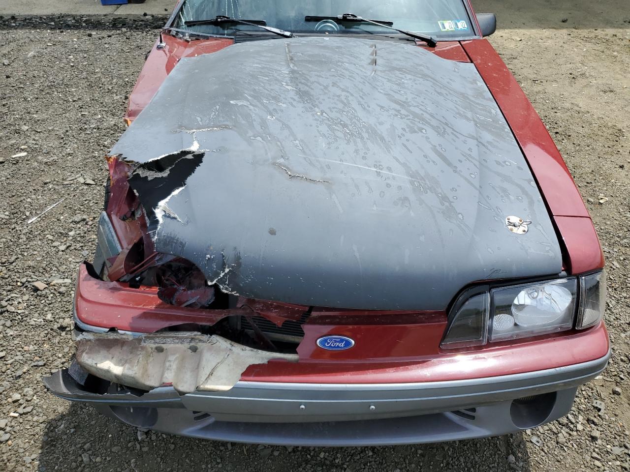 1FACP42E0MF182929 1991 Ford Mustang Gt