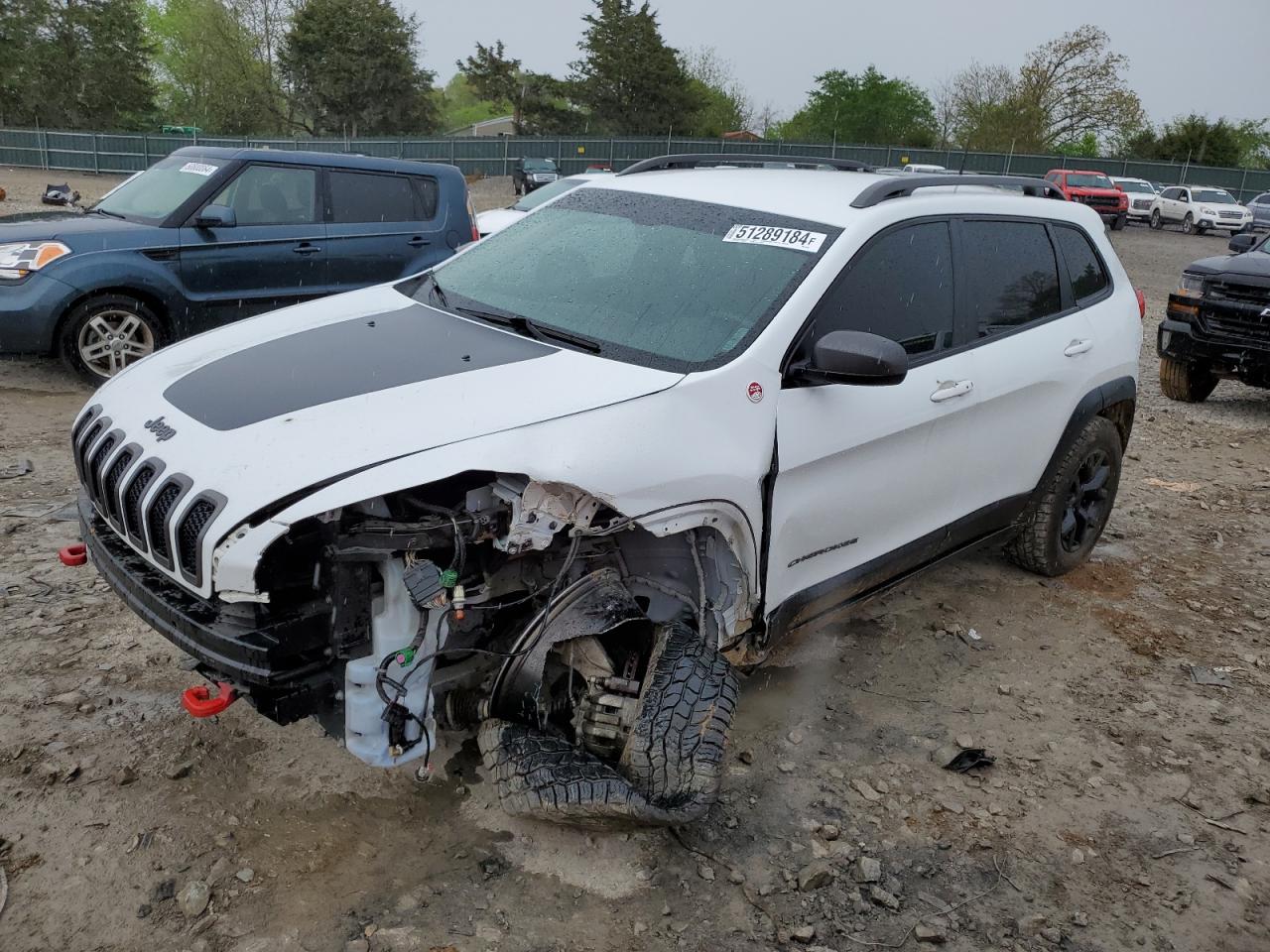 1C4PJMBS6HW665091 2017 Jeep Cherokee Trailhawk