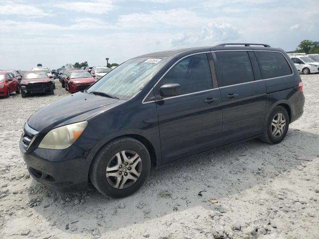 2006 Honda Odyssey Exl VIN: 5FNRL38736B441651 Lot: 52629954