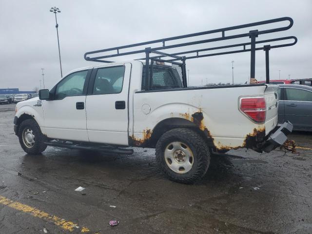 2010 Ford F150 Supercrew VIN: 1FTEW1CW2AFA79437 Lot: 49170794