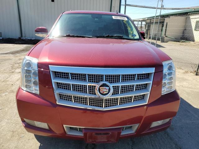 2010 Cadillac Escalade Platinum VIN: 1GYUKDEF2AR186339 Lot: 48918094