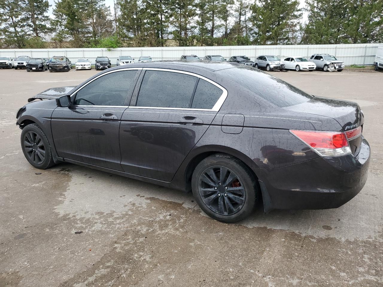 1HGCP2F81BA139585 2011 Honda Accord Exl