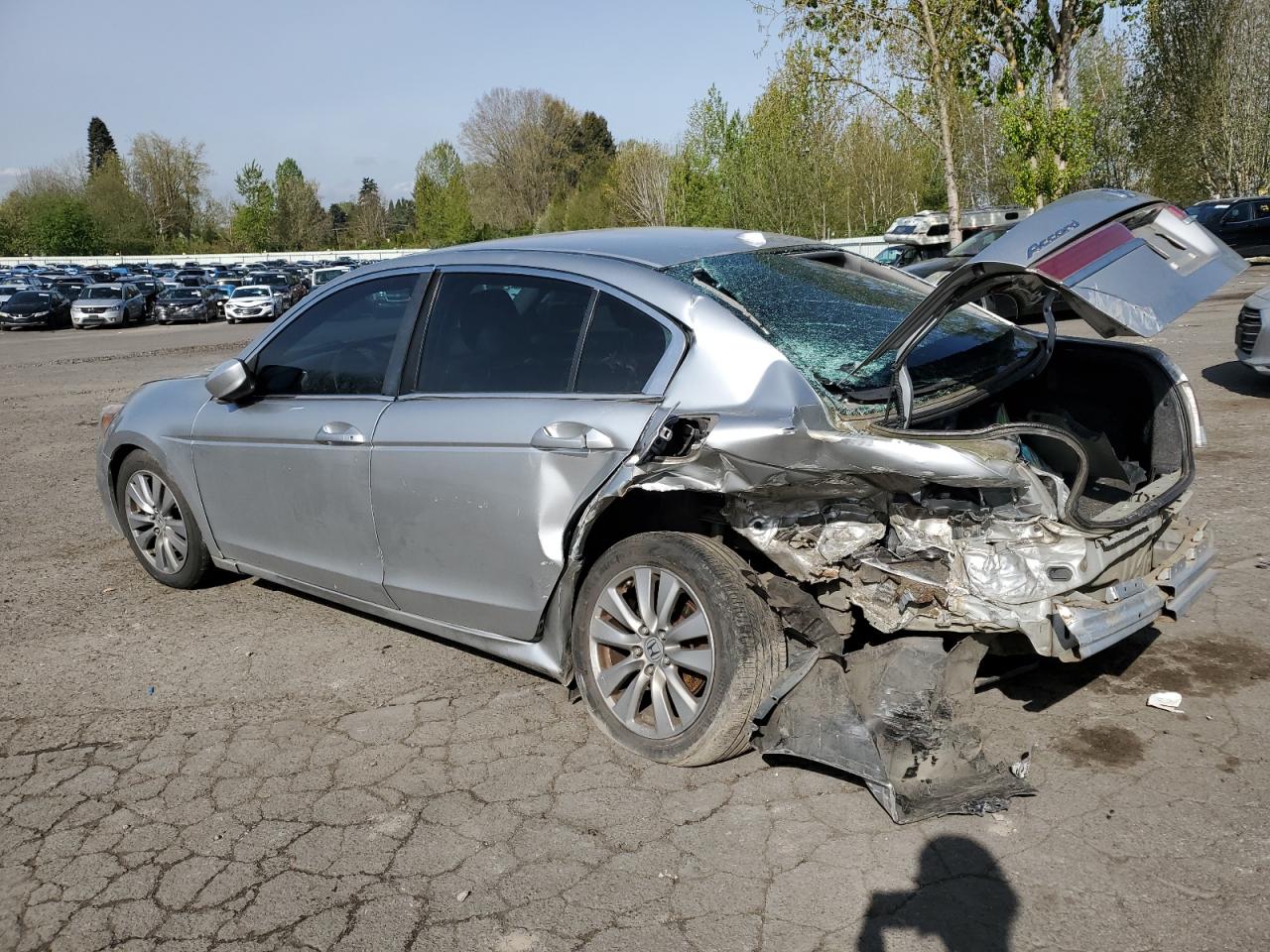 1HGCP2F82CA136597 2012 Honda Accord Exl